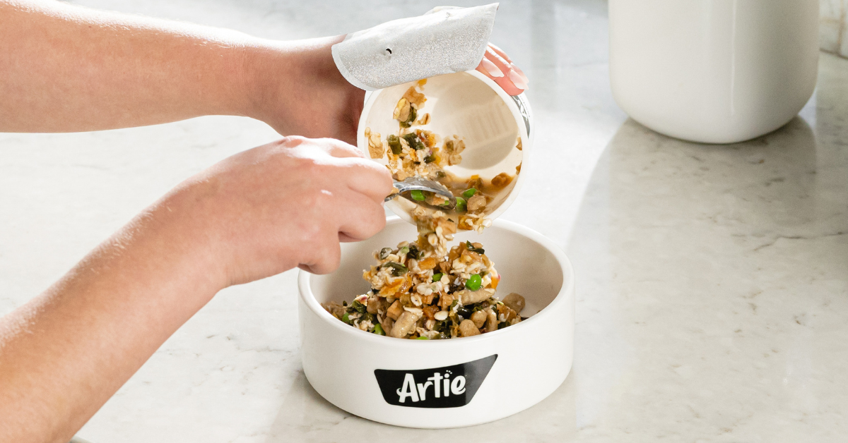 The Benefits of Bone Broth for Dogs