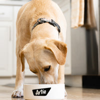 Artie 3-Pack Sample Bundle