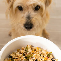 Artie 3-Pack Sample Bundle