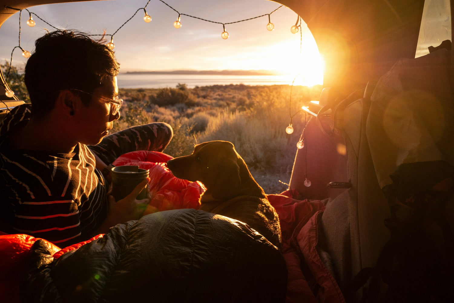 Traveling with Your Dog: The Convenience of Freeze-Dried Meals on the Go