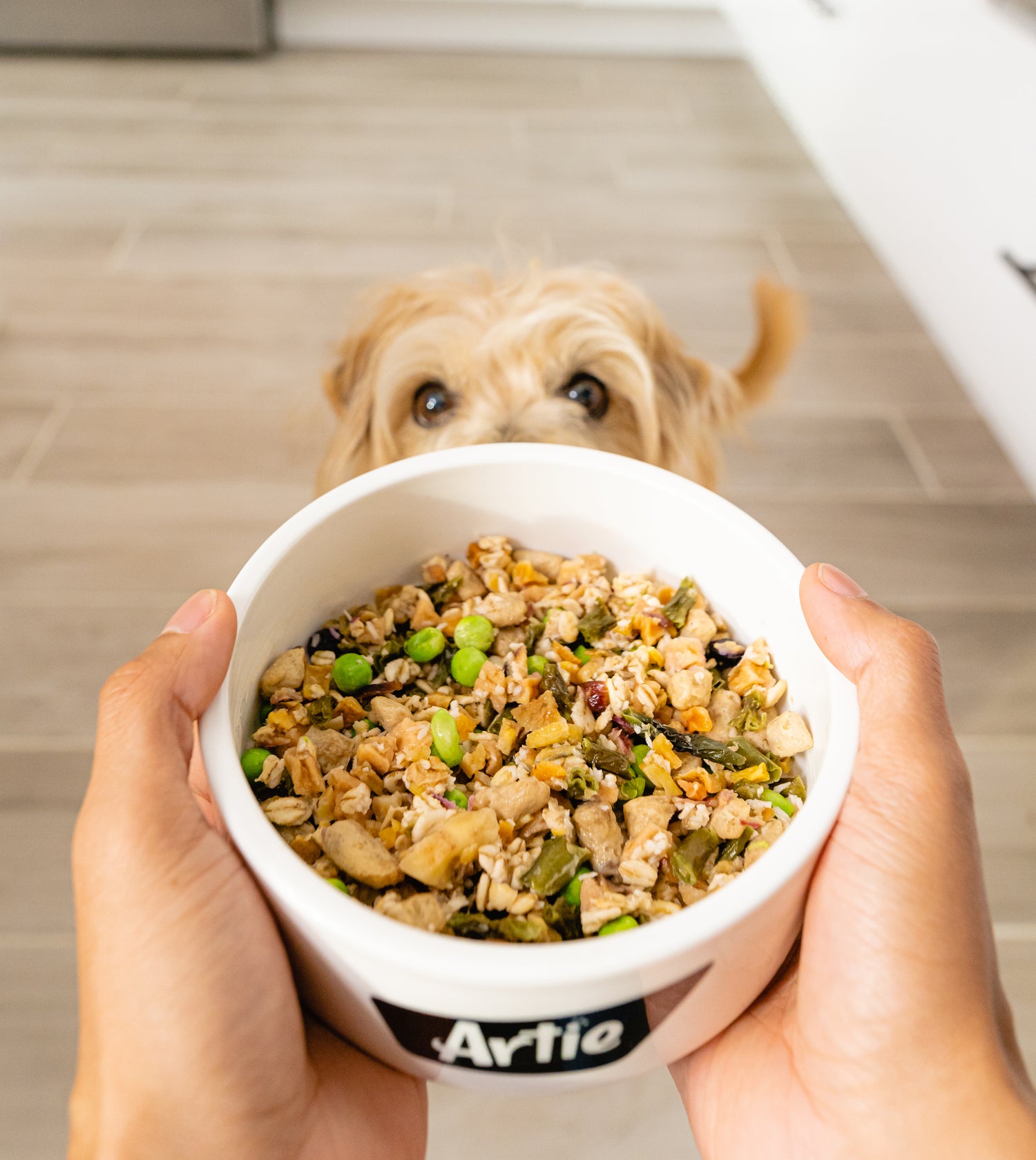 Dog overlooking Artie’s Chicken Harvest Bowl with Sweet Potatoes in Bone Broth