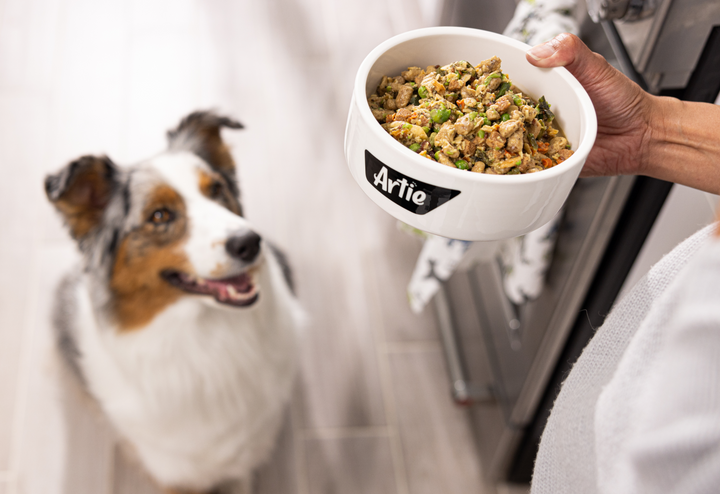 No measuring, no scooping. Warm pet food, home cooked meals. 