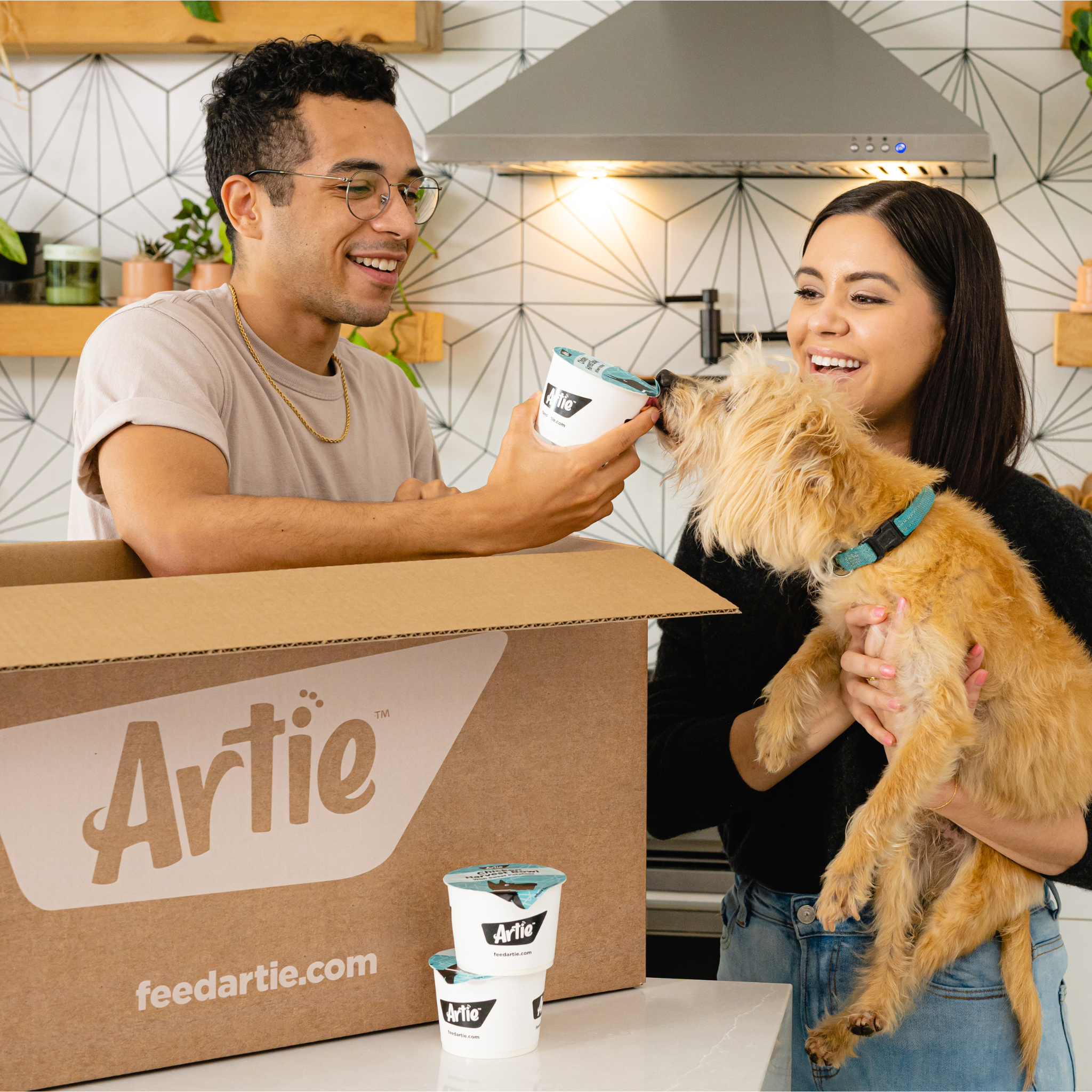 What is Artie?