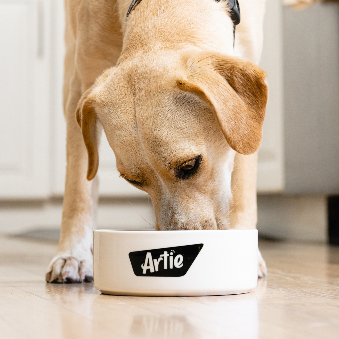 What is Artie?