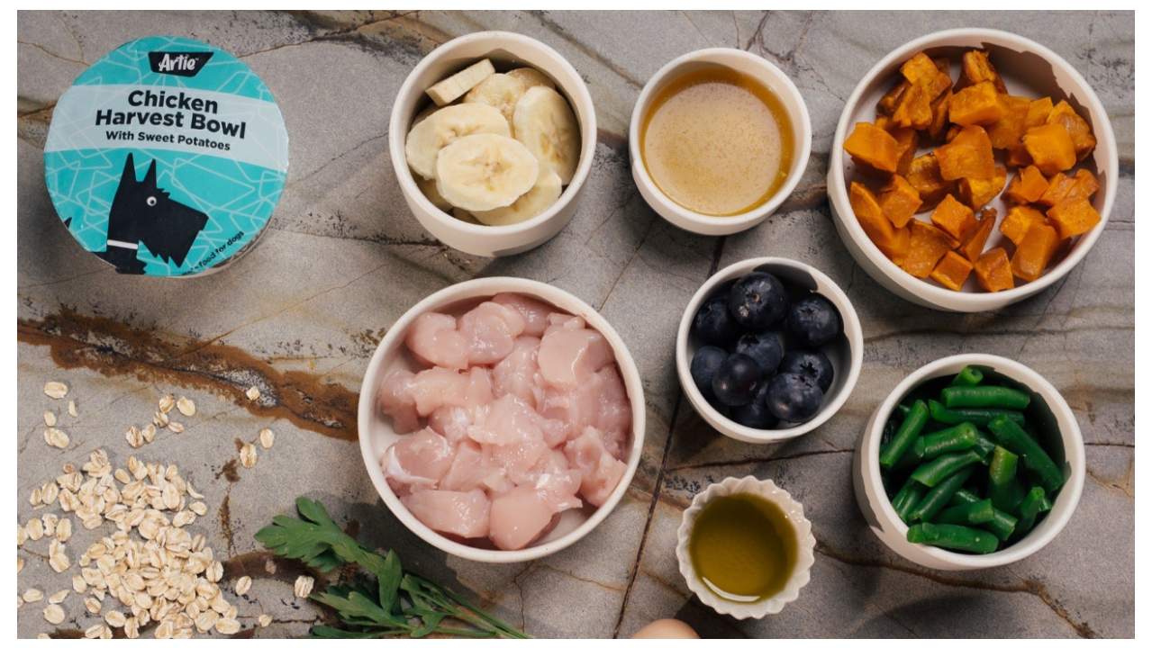 Prepared pet food bowls with chicken, vegetables, and other ingredients on a wooden surface.